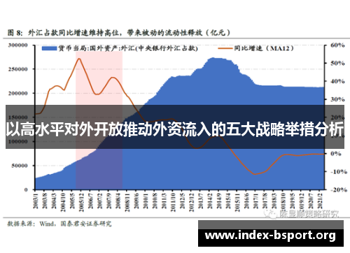 以高水平对外开放推动外资流入的五大战略举措分析