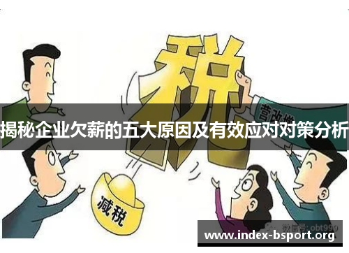 揭秘企业欠薪的五大原因及有效应对对策分析