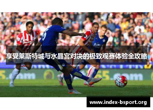 享受莱斯特城与水晶宫对决的极致观赛体验全攻略