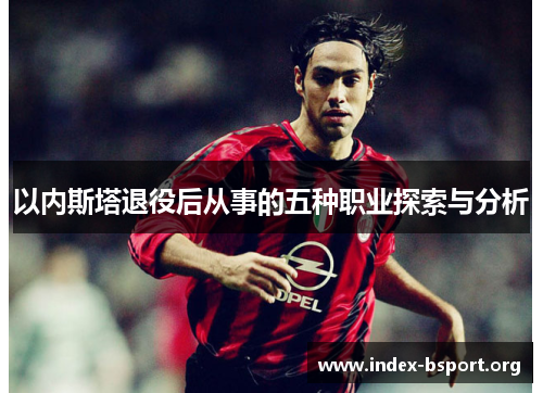 以内斯塔退役后从事的五种职业探索与分析