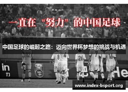 中国足球的崛起之路：迈向世界杯梦想的挑战与机遇