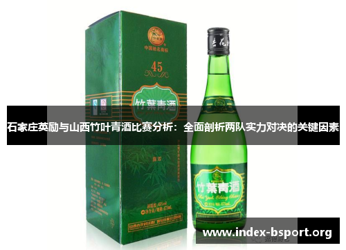 石家庄英励与山西竹叶青酒比赛分析：全面剖析两队实力对决的关键因素