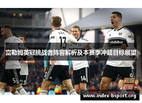 富勒姆英冠挑战者阵容解析及本赛季冲超目标展望